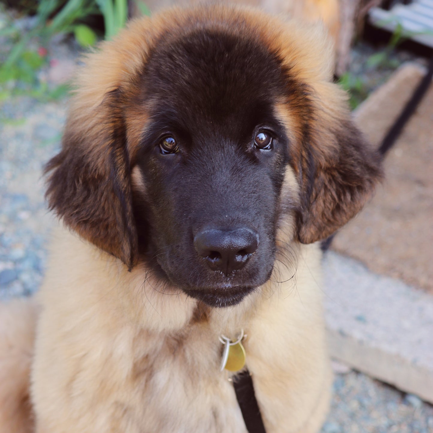 Maternelle de groupe ( 4 cours )