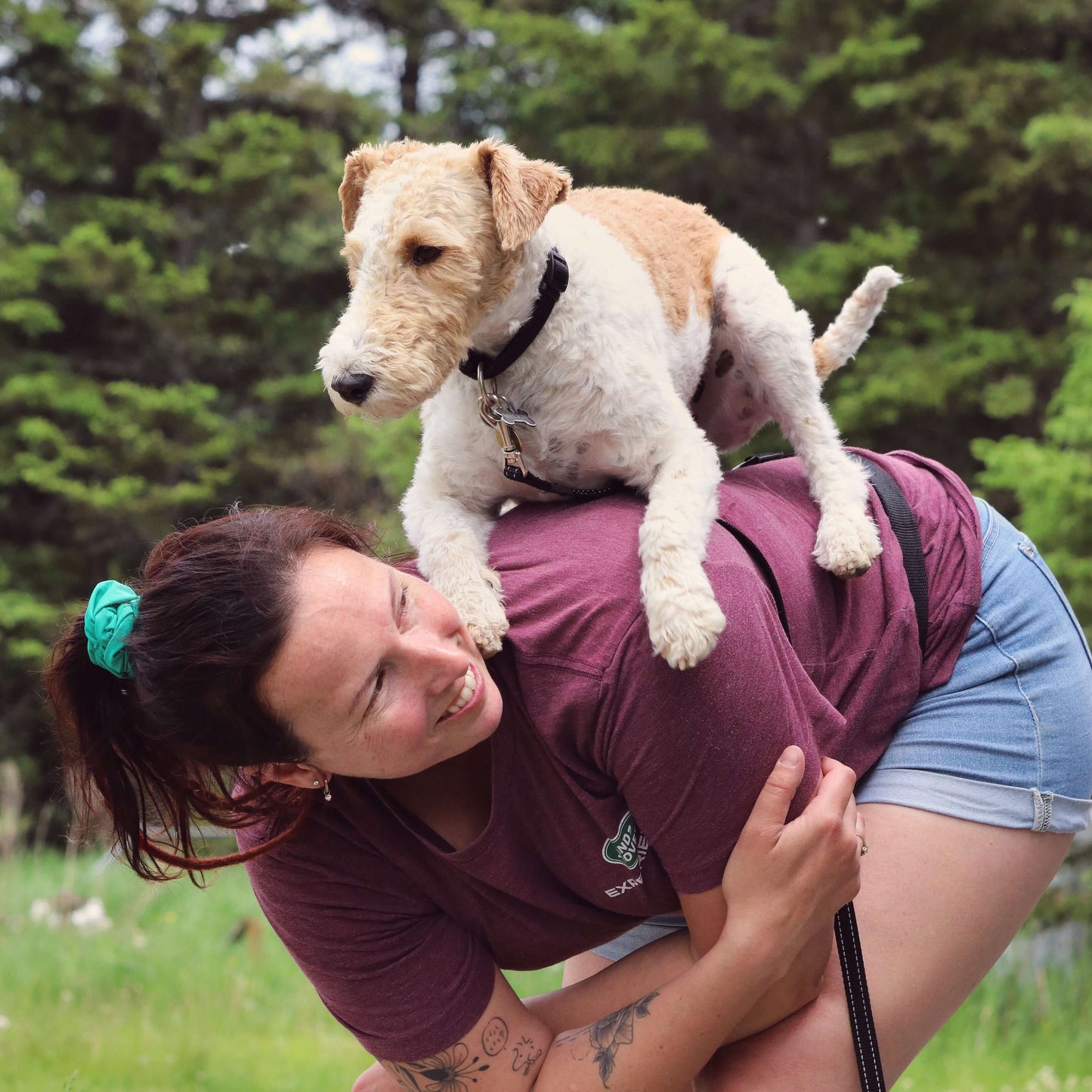 Freestyle – Danse et complicité au rythme de ton chien | Centre Éducanin Anne Lemay