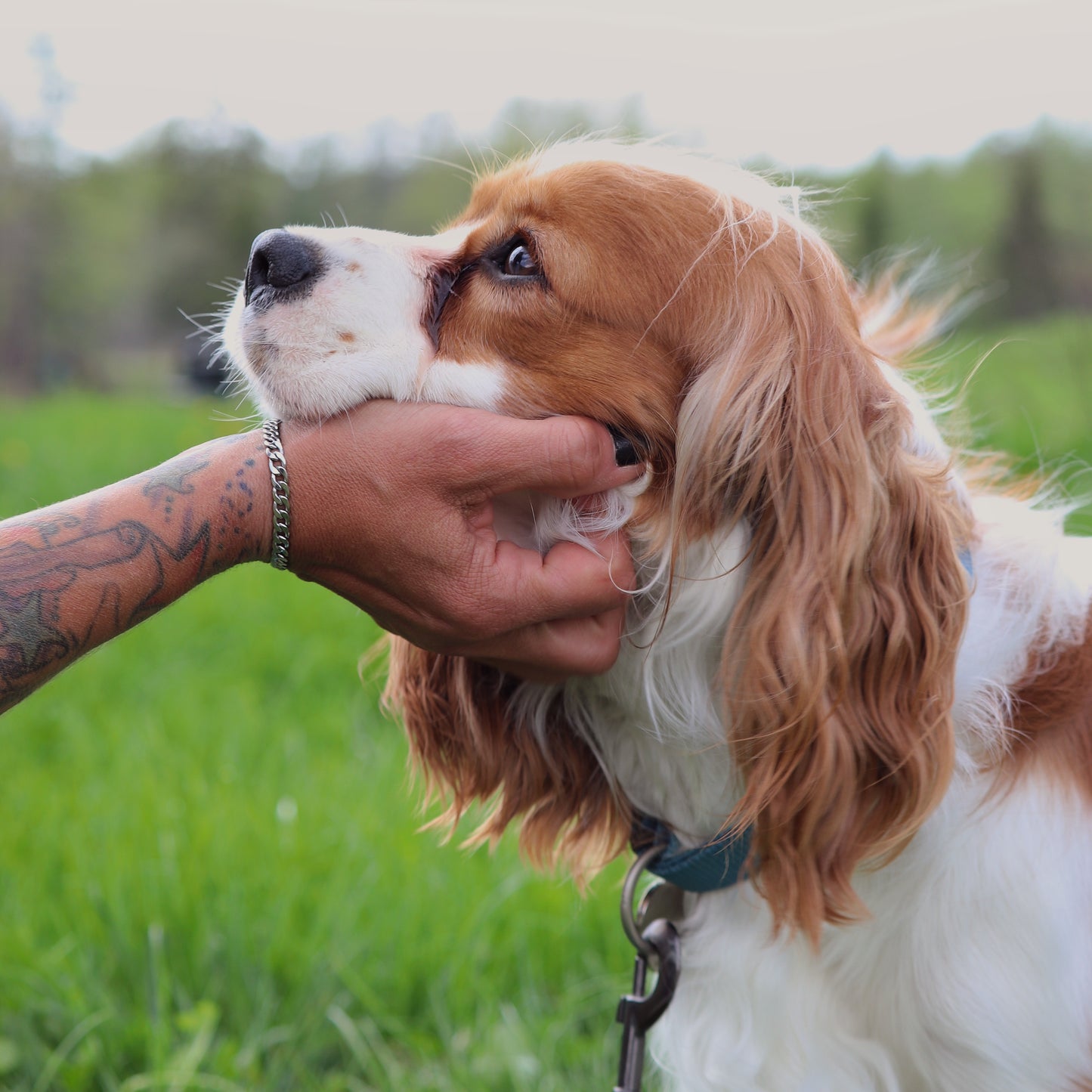 Thérapie comportementale – Pour régler les problèmes une fois pour toute