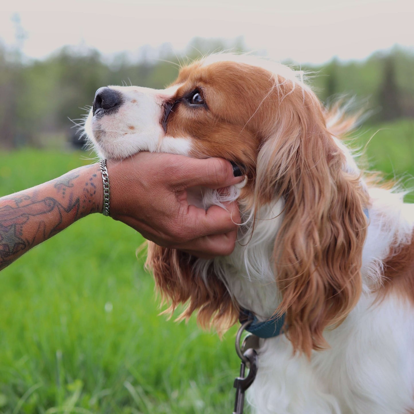 Thérapie comportementale – Pour régler les problèmes une fois pour toute | Centre Éducanin Anne Lemay