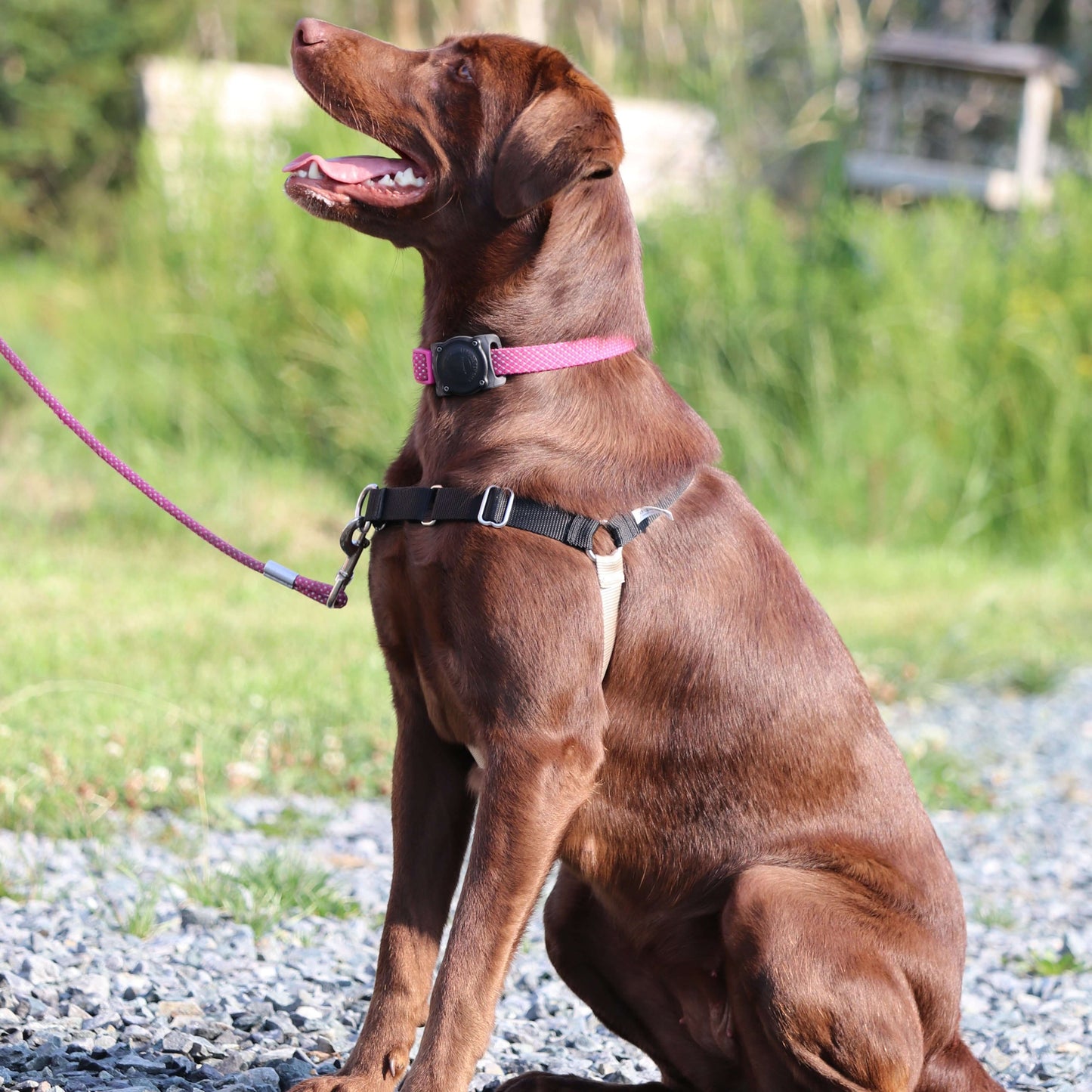 Suivi de thérapie comportementale | Centre Éducanin Anne Lemay