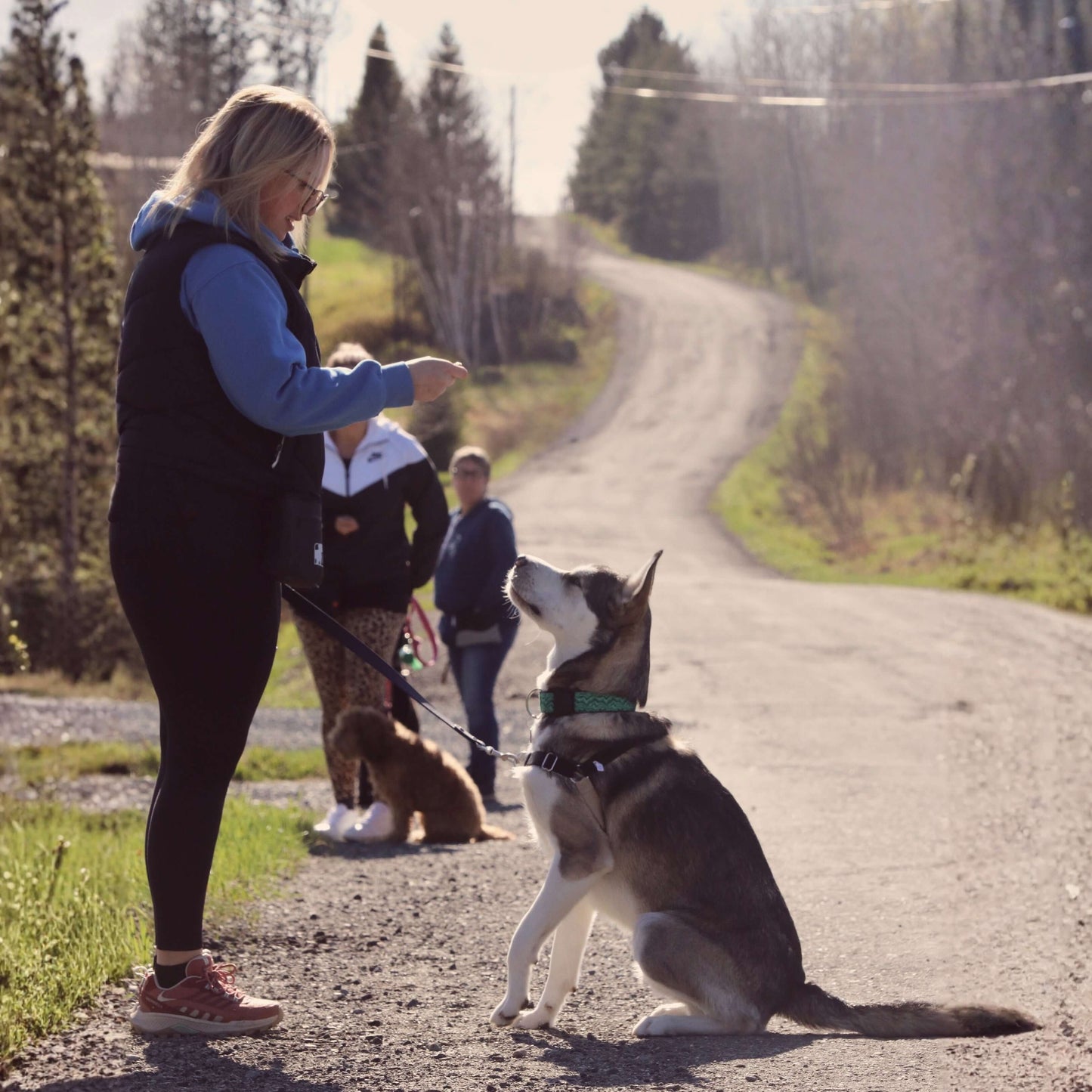Cours d’obéissance de groupe ( 8 cours ) | Centre Éducanin Anne Lemay