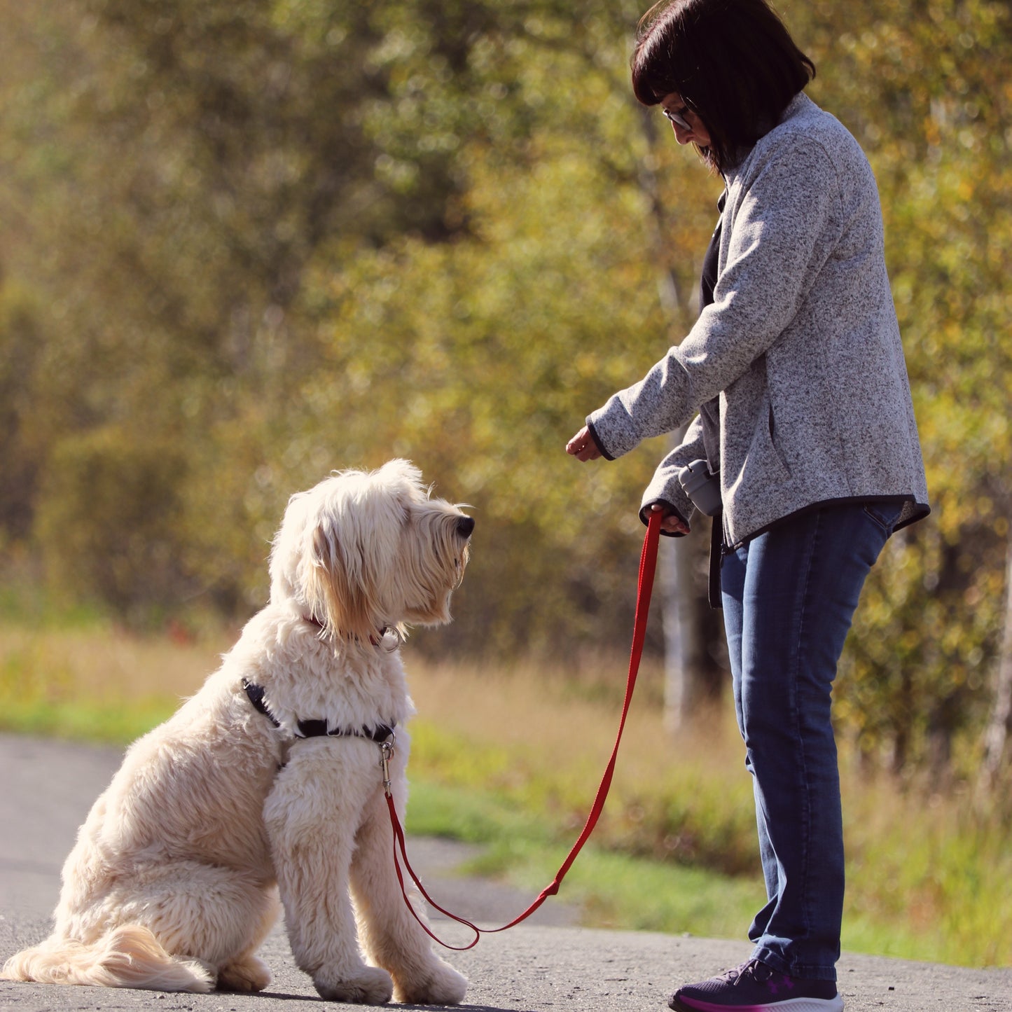 🎯 Programme personnalisé – Une solution taillée sur mesure pour ton chien