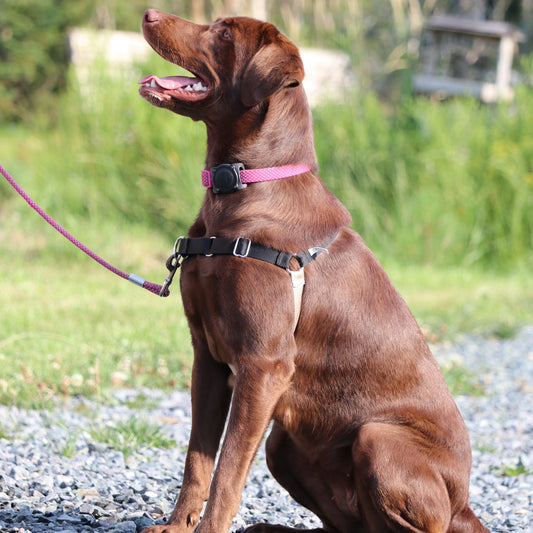 Suivi de thérapie comportementale